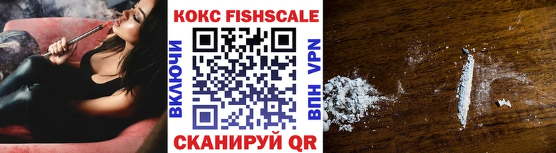 КОКАИН Fish Scale  Купить  Приволжск 