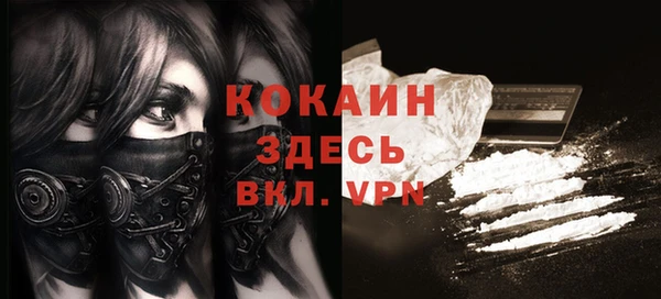 шишки Покровск