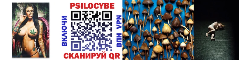 Псилоцибиновые грибы прущие грибы  Купить закладки  Приволжск 